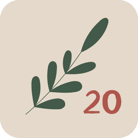 Jour 20